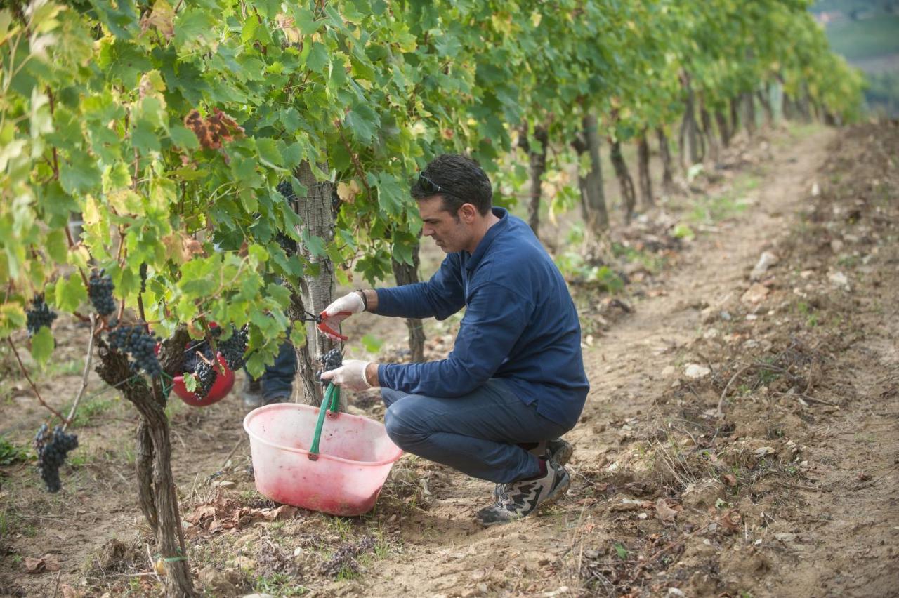 La Valletta Boutique Wine Estate Panzano in Chianti Eksteriør billede
